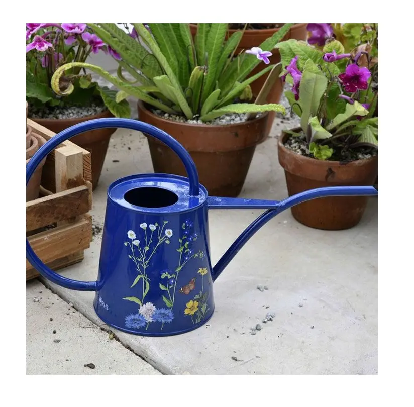 Premium Quality Water Can Best Quality Iron Metal New Design Custom Shape Watering Can For Home Garden Daily Usage