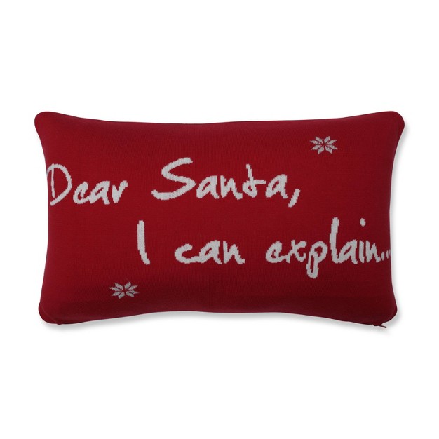 I Can Explain Lumbar Throw Pillow Pillow Perfect