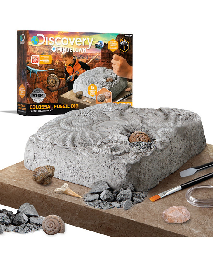 Discovery #MINDBLOWN ColossalFossil Dig Set  15-Piece Archeology Excavation Kit