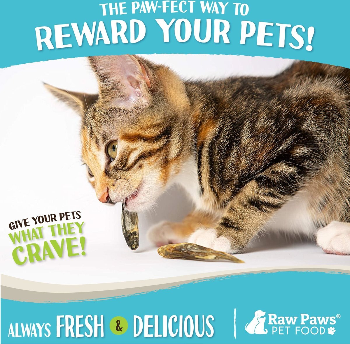 Raw Paws Freeze-Dried Smelt Minnows Dog and Cat Treats