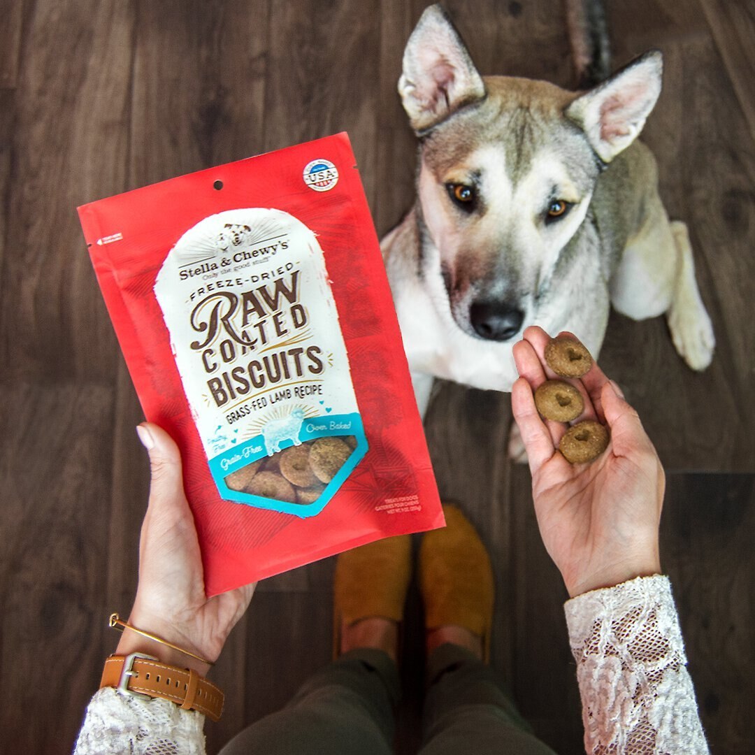 Stella and Chewy's Raw Coated Biscuits Grass-Fed Lamb Recipe Freeze-Dried Grain-Free Dog Treats