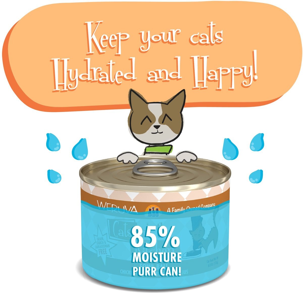 Weruva Cats in the Kitchen Fowl Ball Chicken and Turkey Au Jus Grain-Free Canned Cat Food