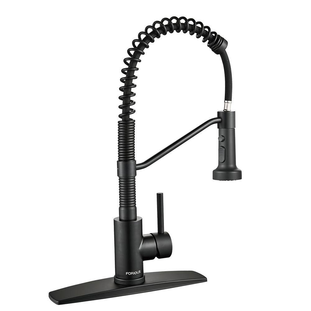 FORIOUS Pull Down Sprayer with Kitchen Faucet Single-Handle Kitchen Sink Faucet in Black HH0027B