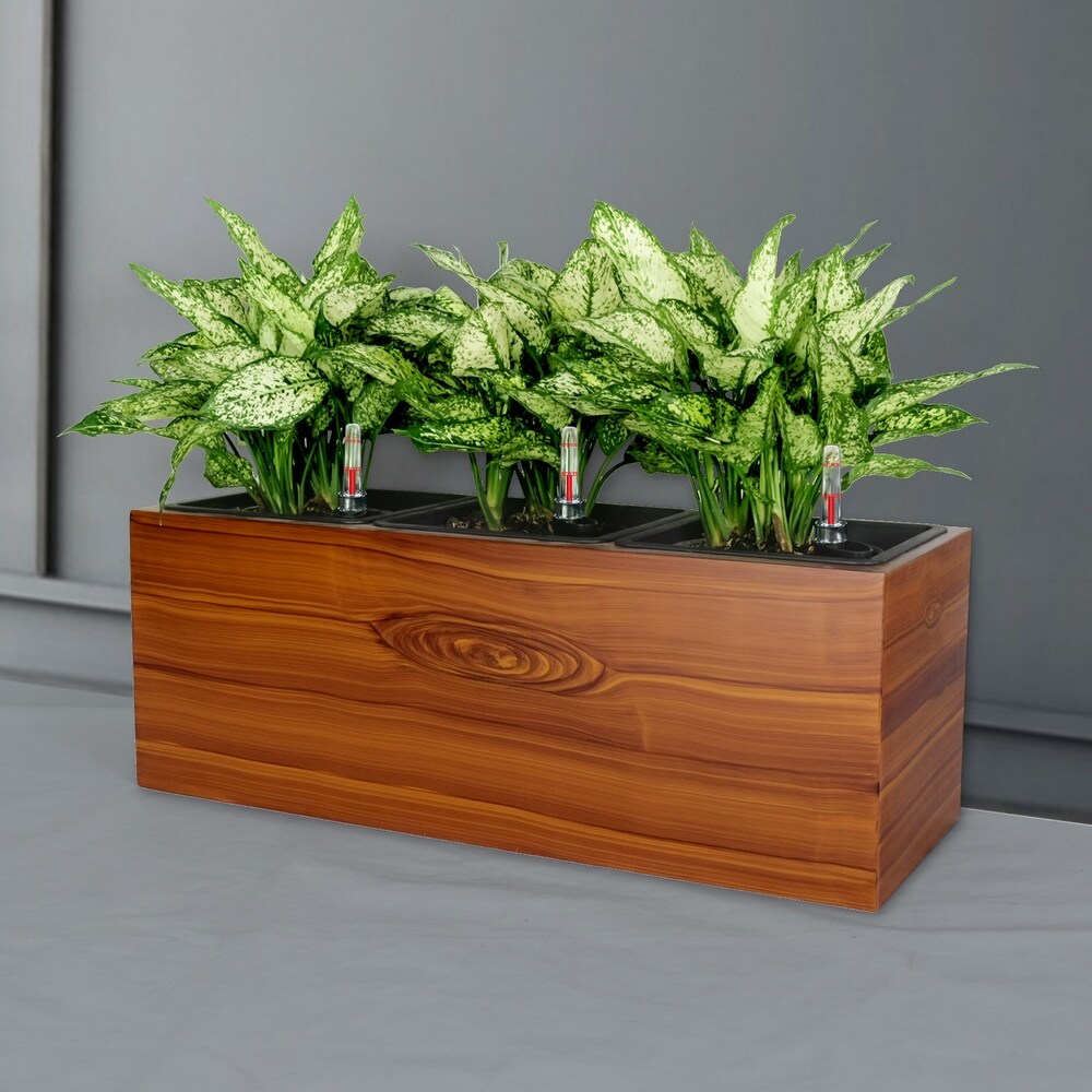 DTY Signature 3 Liner Self watering Rectangle Planter Box