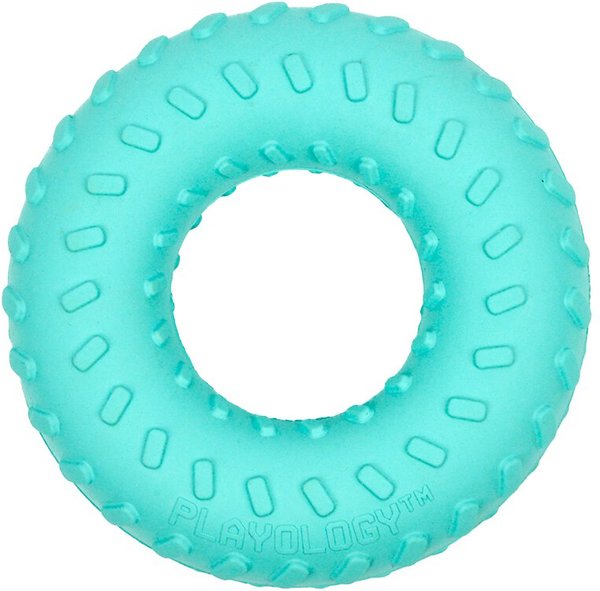 Playology Scented Dual Layer Ring Dog Toy