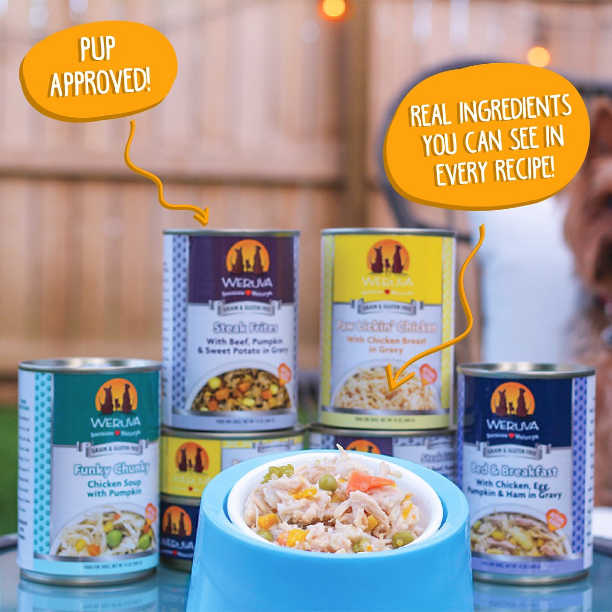 Weruva Baron's Batch Variety Pack Grain-Free Canned Dog Food