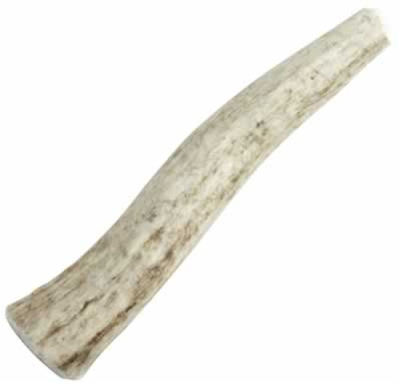 Happy Dog of Cape Cod Whole Elk Antler， X-Small