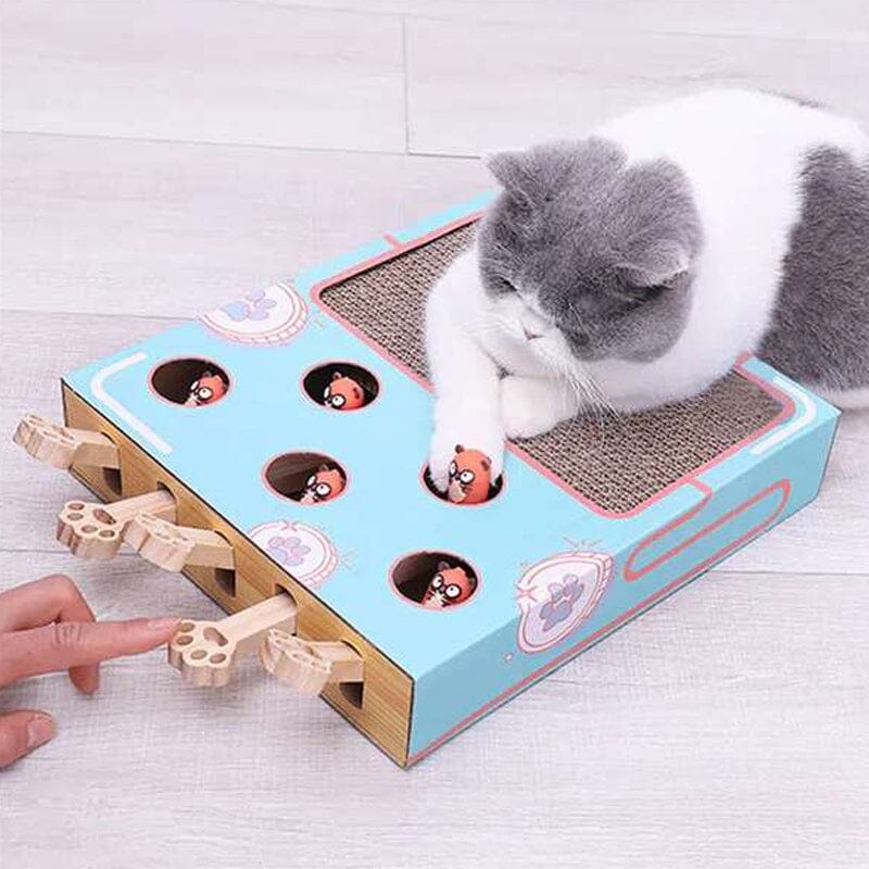 Cat Interactive Toy