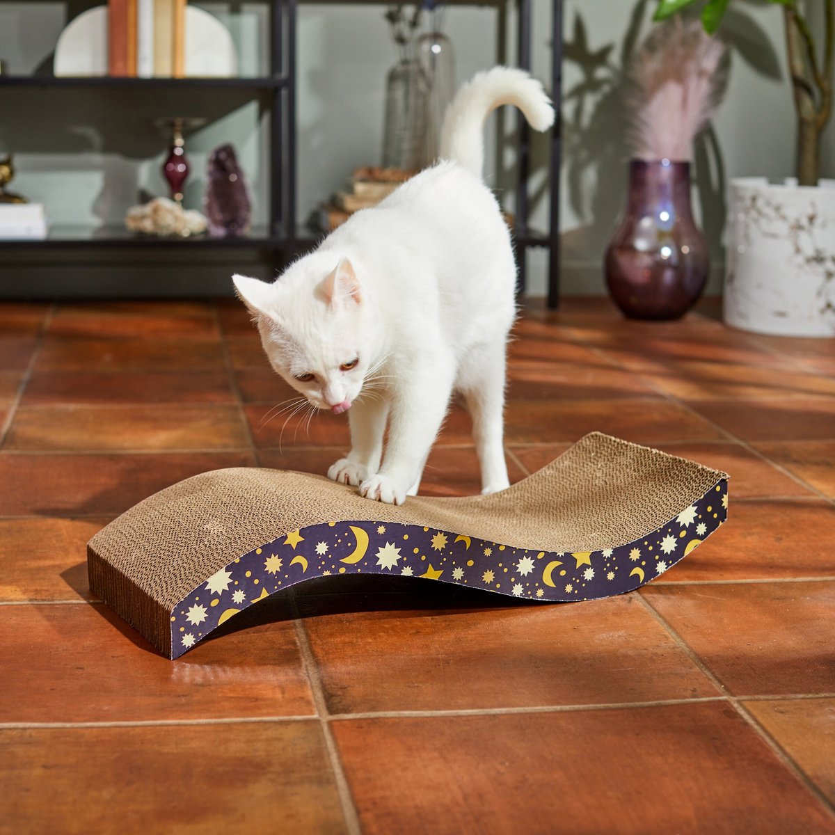 Frisco Magic Moon and Stars Wave Scratcher Cat Toy with Catnip