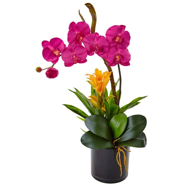 Nearly Natural Orchid and Bromeliad in Glossy Black Cylinder