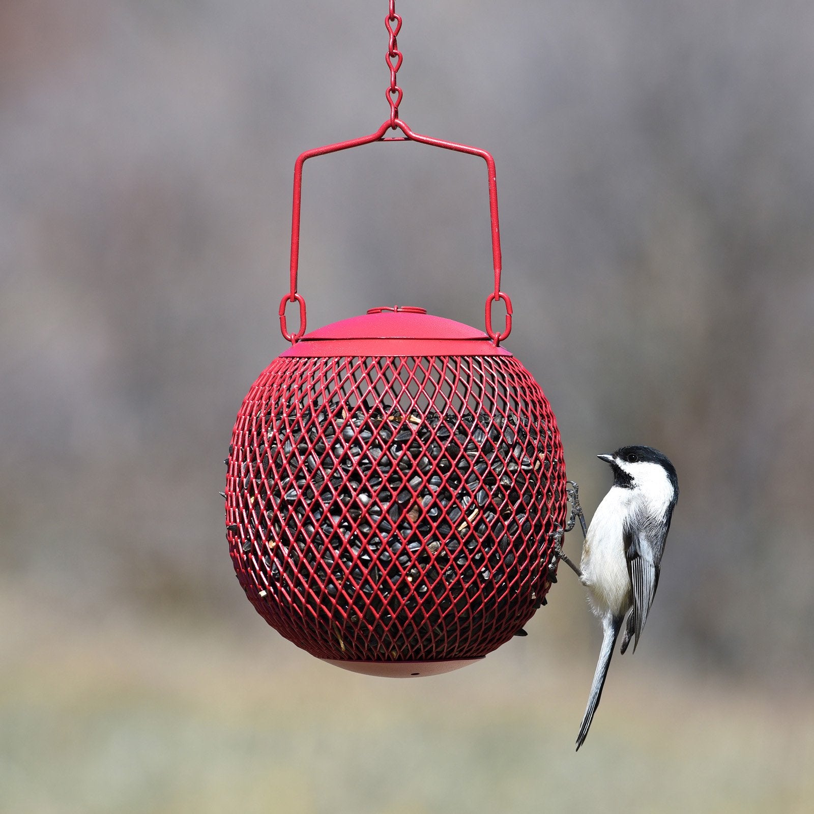 Perky-Pet Green Seed Ball Wild Bird Feeder