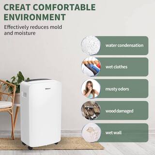 Shinco 40 pt. 2000 sq.ft. Dehumidifier in. White with Auto Defrost Quietly Remove Moisture Intelligent Humidity Control JSXKRY071802