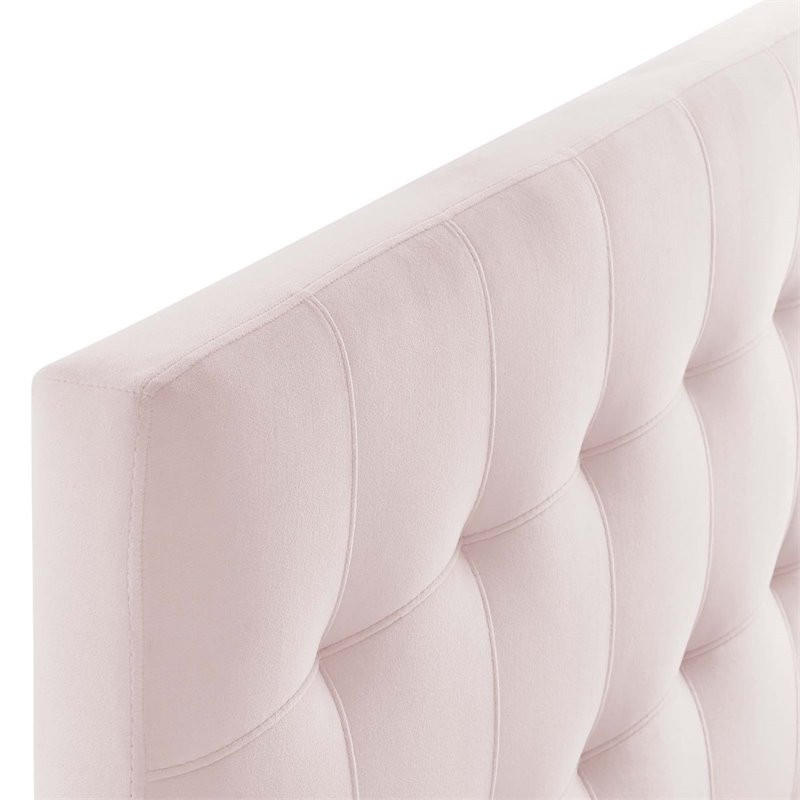 Modway Lily Biscuit Tufted Twin Performance Velvet Headboard in Pink   Transitional   Headboards   by Homesquare  Houzz