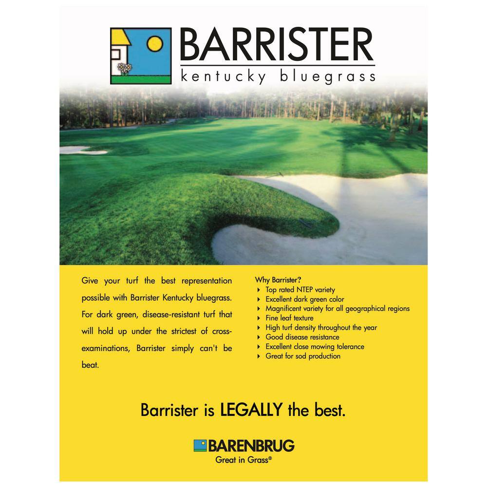 Barenbrug 50 lb. Barrister Kentucky Bluegrass Seed 25076