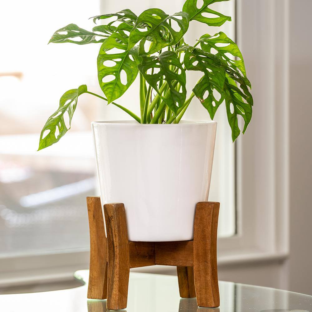 Southern Patio Contemporary Medium 8 in. x 11.02 in. 5 qt. White Ceramic Indoor Planter With Wood Stand CRM-049388