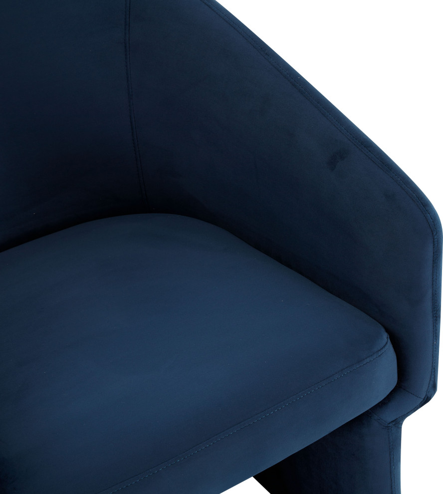 Susie Accent Chair   Transitional   Armchairs And Accent Chairs   by HedgeApple  Houzz