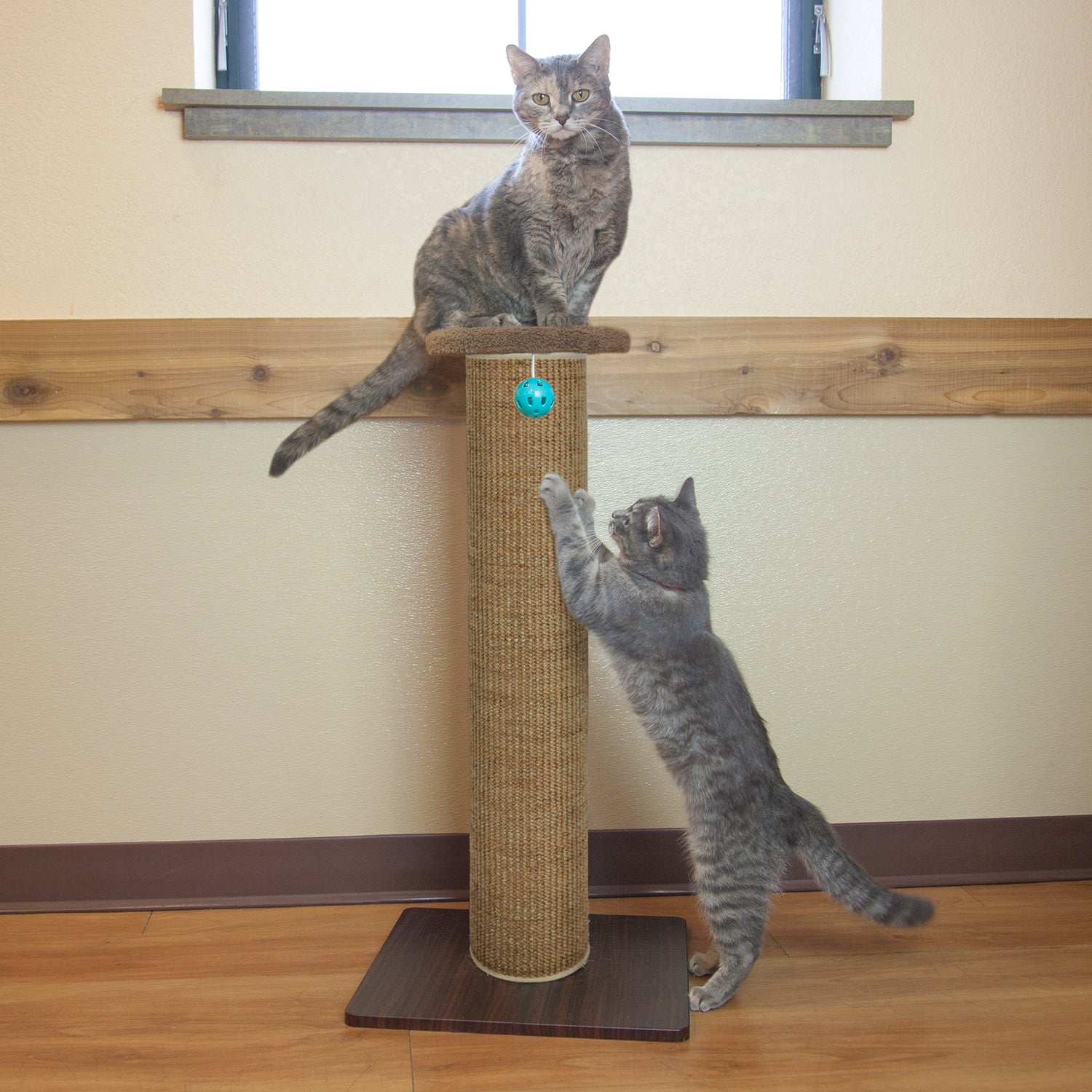 Kitty City Premium Woven Sisal Scratching Post Perch