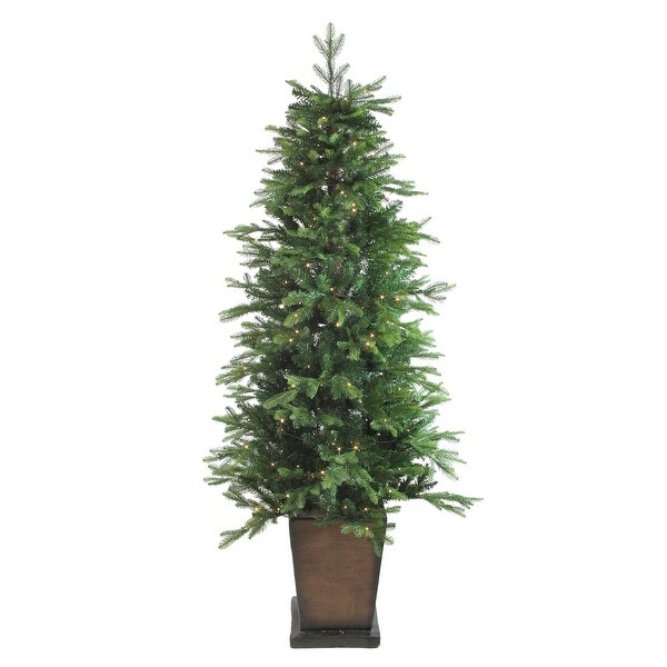 6' PreLit Potted Oregon Noble Fir Slim Artificial Christmas Tree