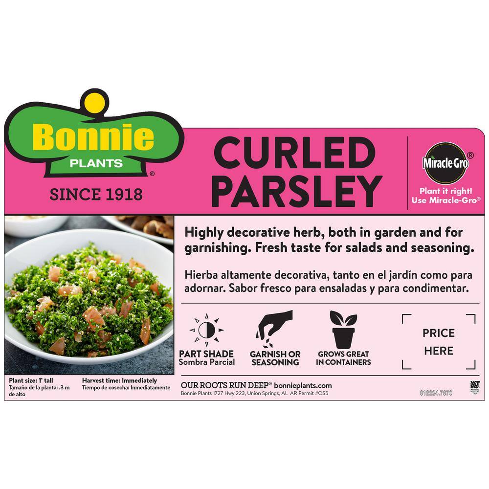 Bonnie Plants 19 oz. Curled Parsley Herb Plant 1003800701