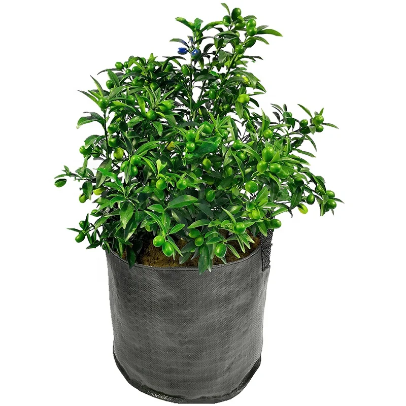 HOKBG High quality low price 5 gallon potato grow bags pp woven grow bag for plant  easy to lift small size planter bags