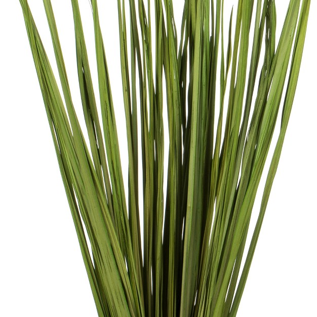 Basil Wild Flax Grass. Comes In 12oz (3 -4 Oz Bundles)， Dried