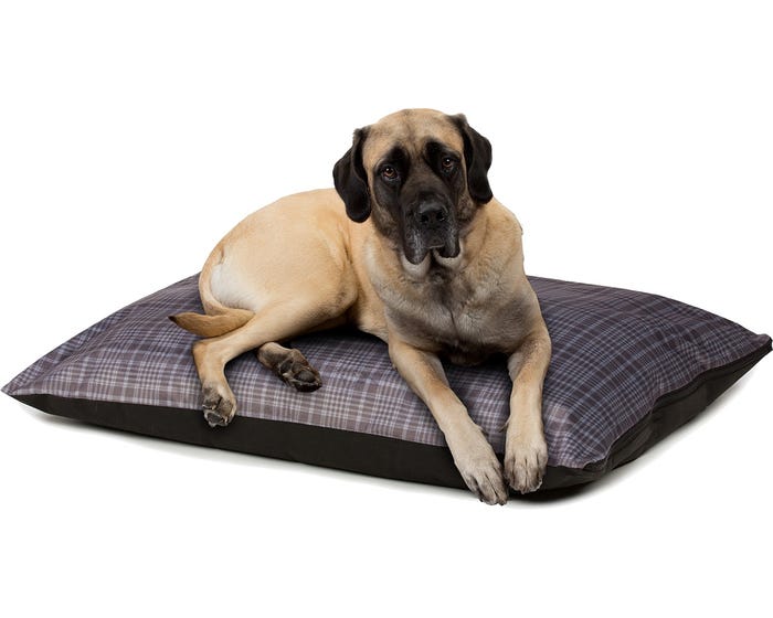 Extra Large 36 x 45 Pillow Dog Bed - KCZ3645PK25-80