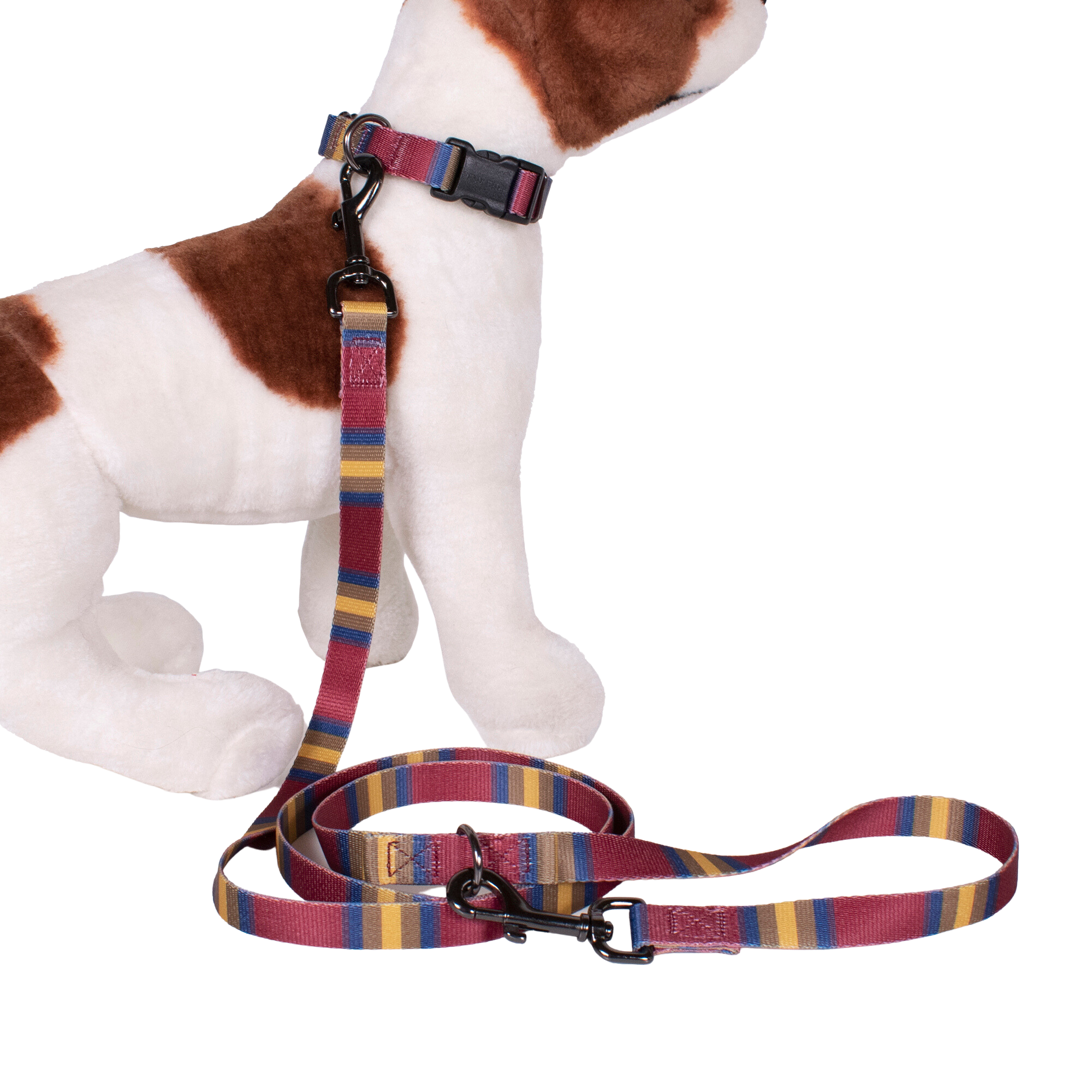 Pendleton Park Adventure Collar | Zion