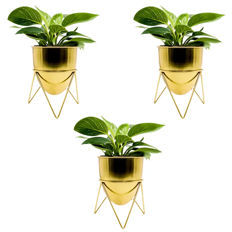 Best Selling Garden Supplies Antique Cheap Planter Unique Indoor Decoration Plant Pots Buy From Indian Supplier