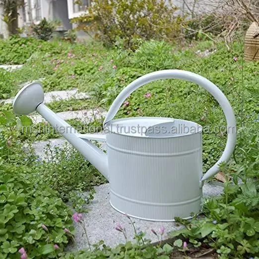 Garden Galvanized Metal Steel Watering Can 4 Litre Brass Rose with Copper Accents Antique Sprinkle Head for Home Garden