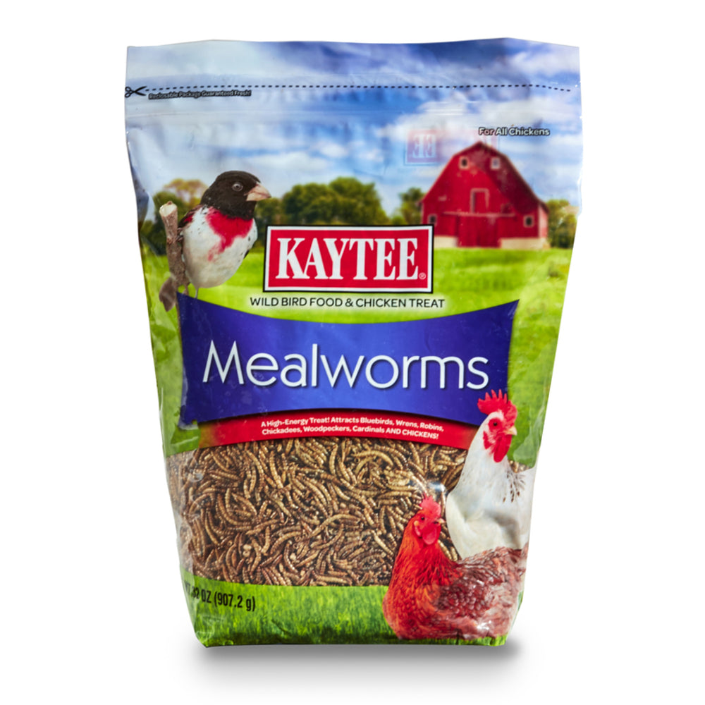 MEALWORMS POUCH 32OZ