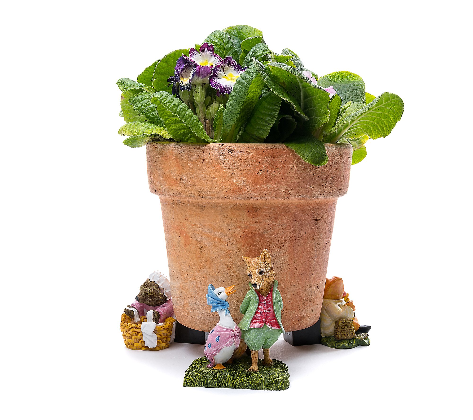 Jardinopia Potty Feet Beatrix Potter S 3 Planter Feet