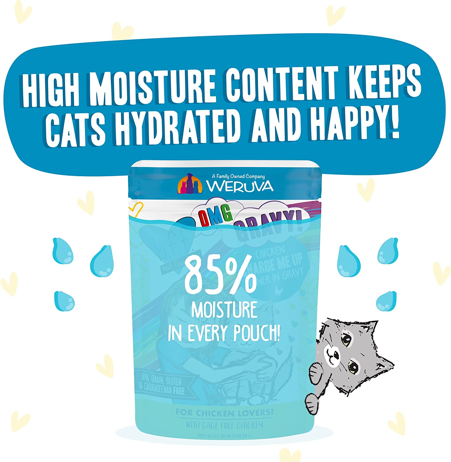 Weruva Wet Cat Food B.F.F. OMG - Best Feline Friend Oh My Gravy!， Chicken Charge Me Up with Chicken in Gravy， 2.8oz Pouch (Pack of 12)