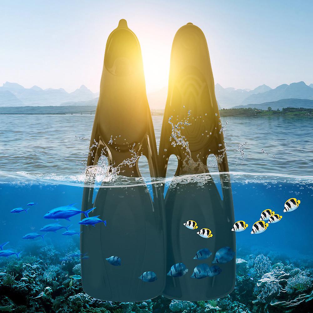 WHALE Swimming Snorkeling Fin Foot Flippers Diving Mask Snorkel Fins Scuba Equipment Set (ML)