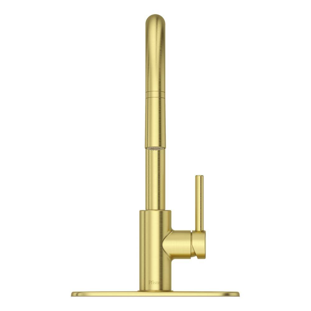 Pfister Stellen Single-Handle Pull-Down Sprayer Kitchen Faucet in Brushed Gold LG529-SABG