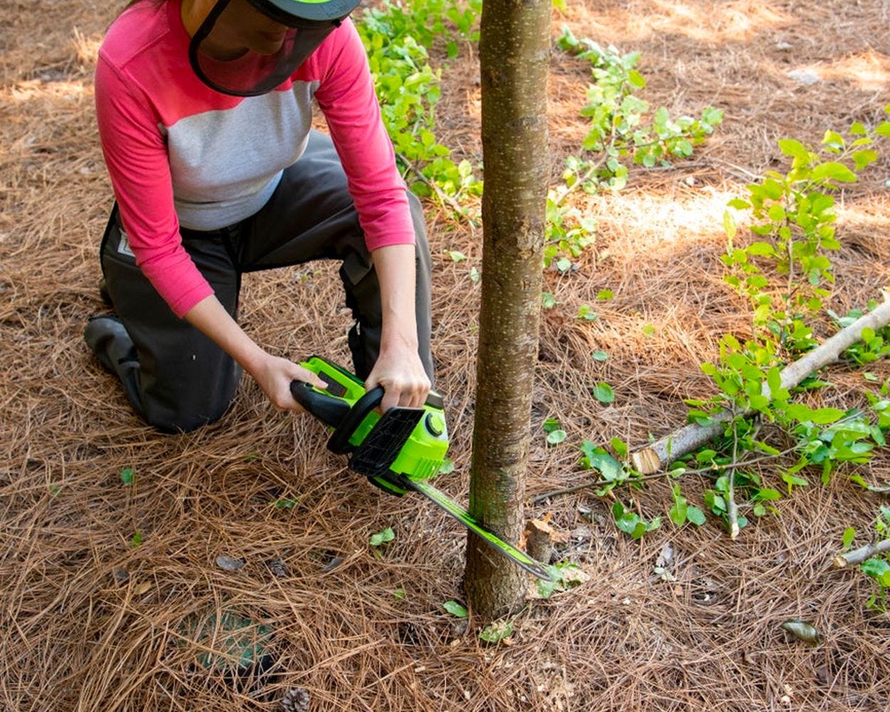 24V 12-Inch Brushless Chainsaw | Greenworks Tools