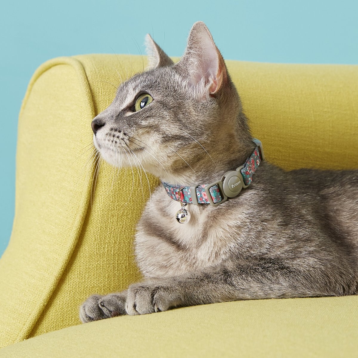 Frisco Rose Polyester Personalized Breakaway Cat Collar with Bell