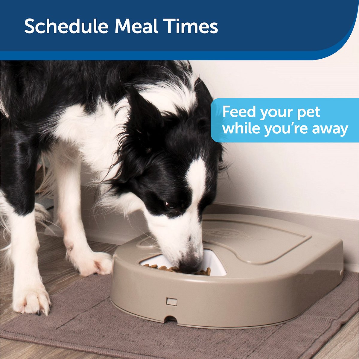 PetSafe Eatwell 5-Meal Automatic Cat and Dog Feeder - Tray Automatically Rotates According to User Programming to Deliver Pre-Planned Meals at Precise Times