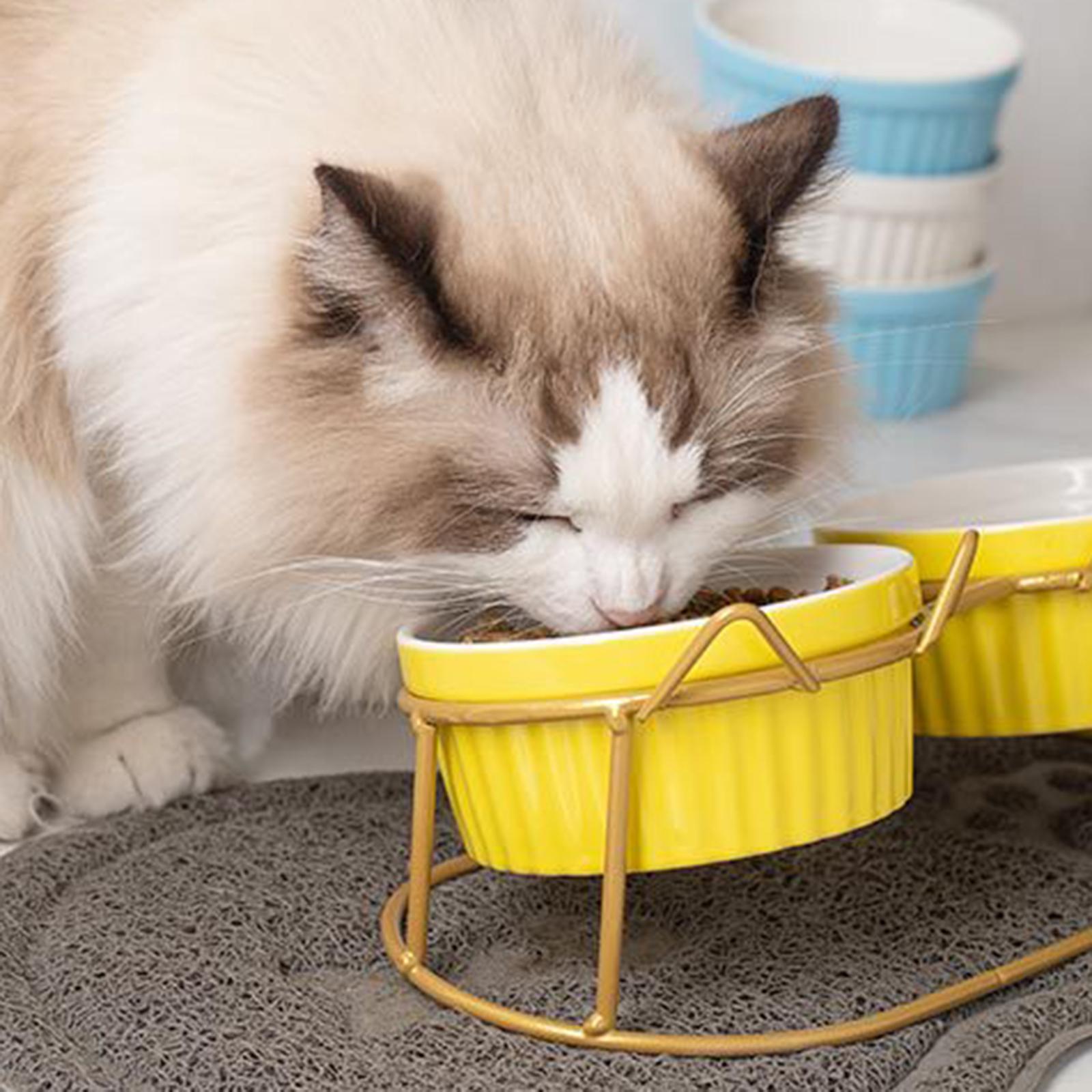 Cat Bowls Raised Iron Stuble Elevated