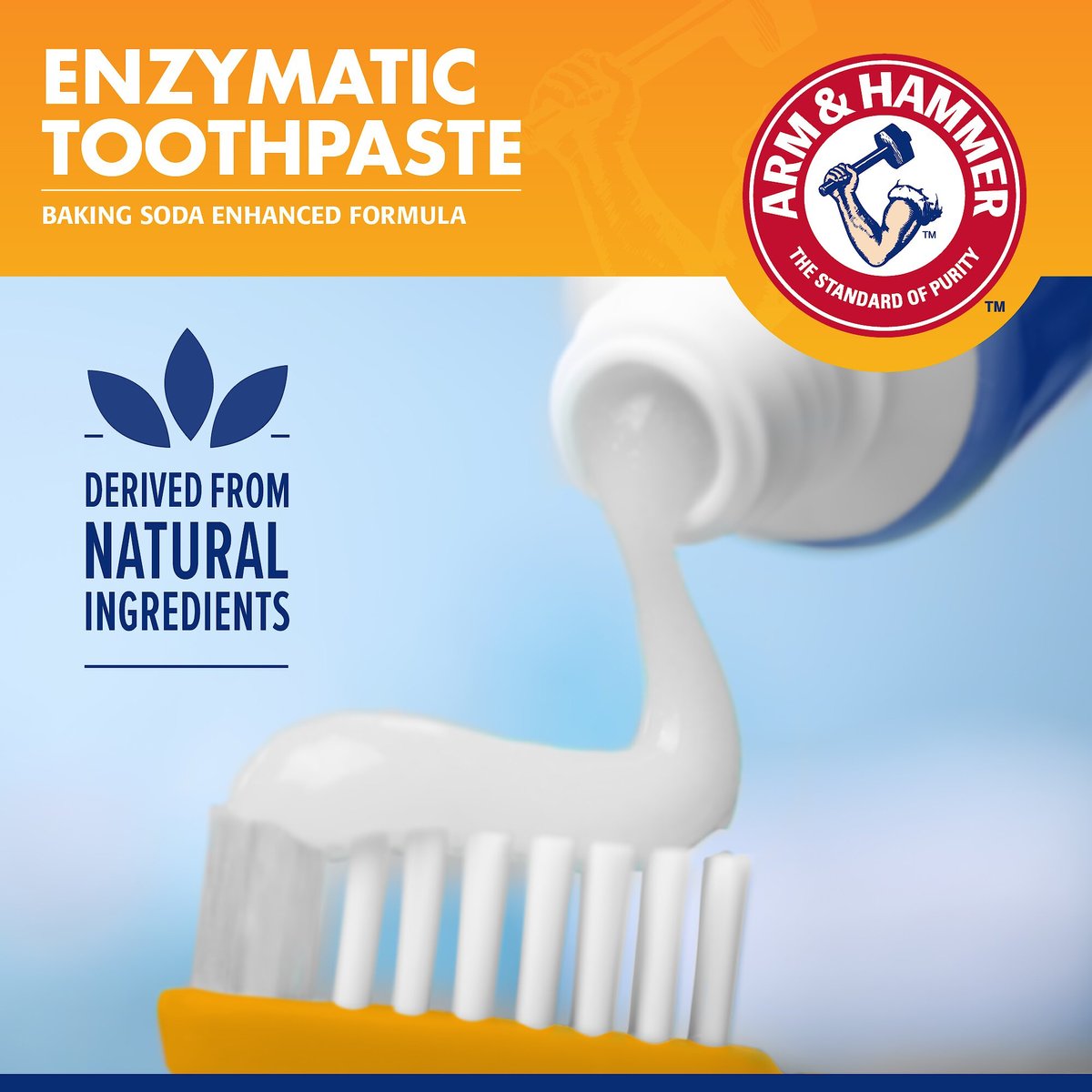 Arm and Hammer Tartar Control Banana Mint Flavored Enzymatic Dog Dental Kit