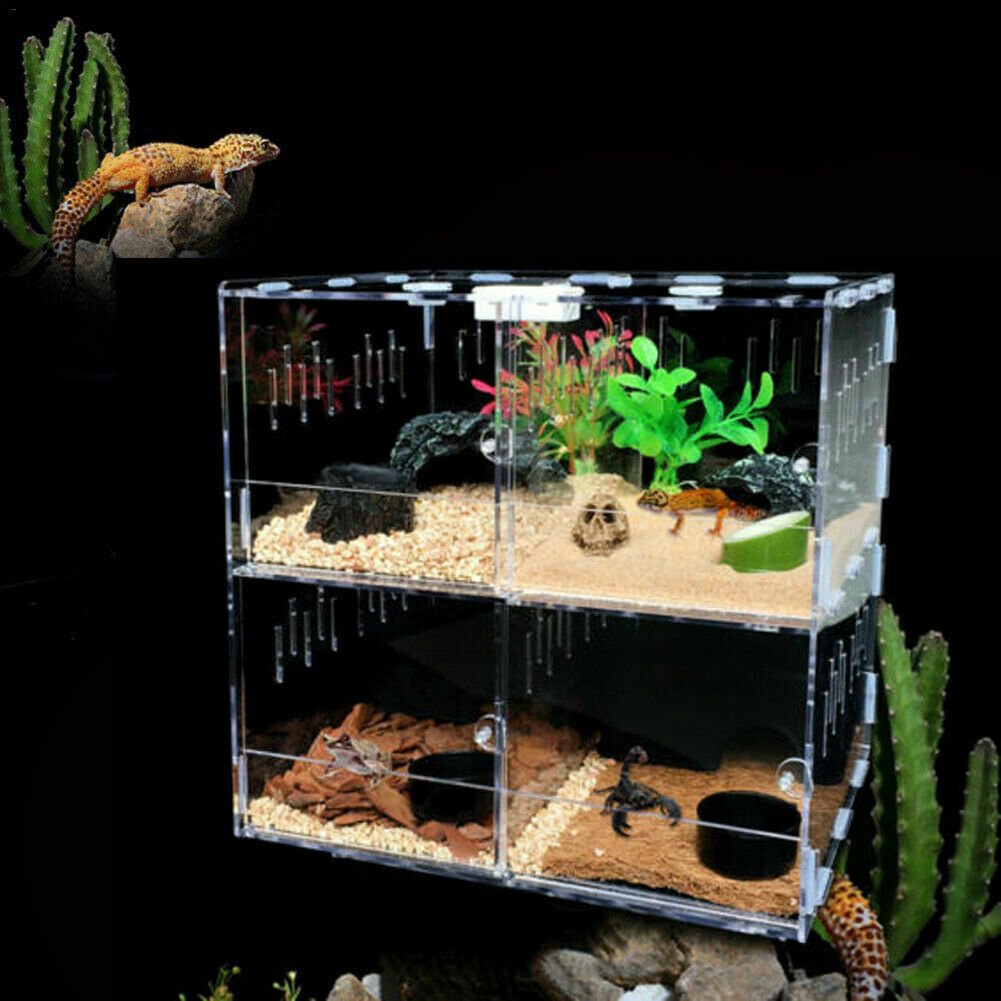 Nisorpa Magnetic Acrylic Reptile Cage Breeding Box Clear Feeding Habitat for Tarantula Scorpion Sling Isopods Lizards Roach Invertebrates