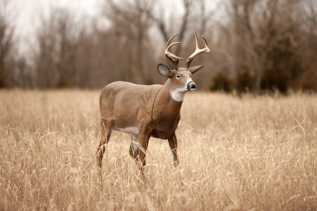 Flambeau Outdoors 5965MS Boss Buck  Masters Series Deer Decoy