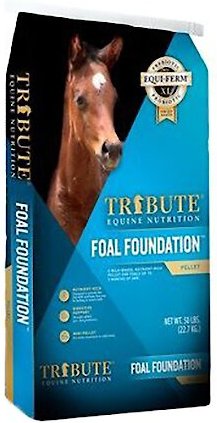 Tribute Equine Nutrition Foal Foundation Milk-Based Horse Feed