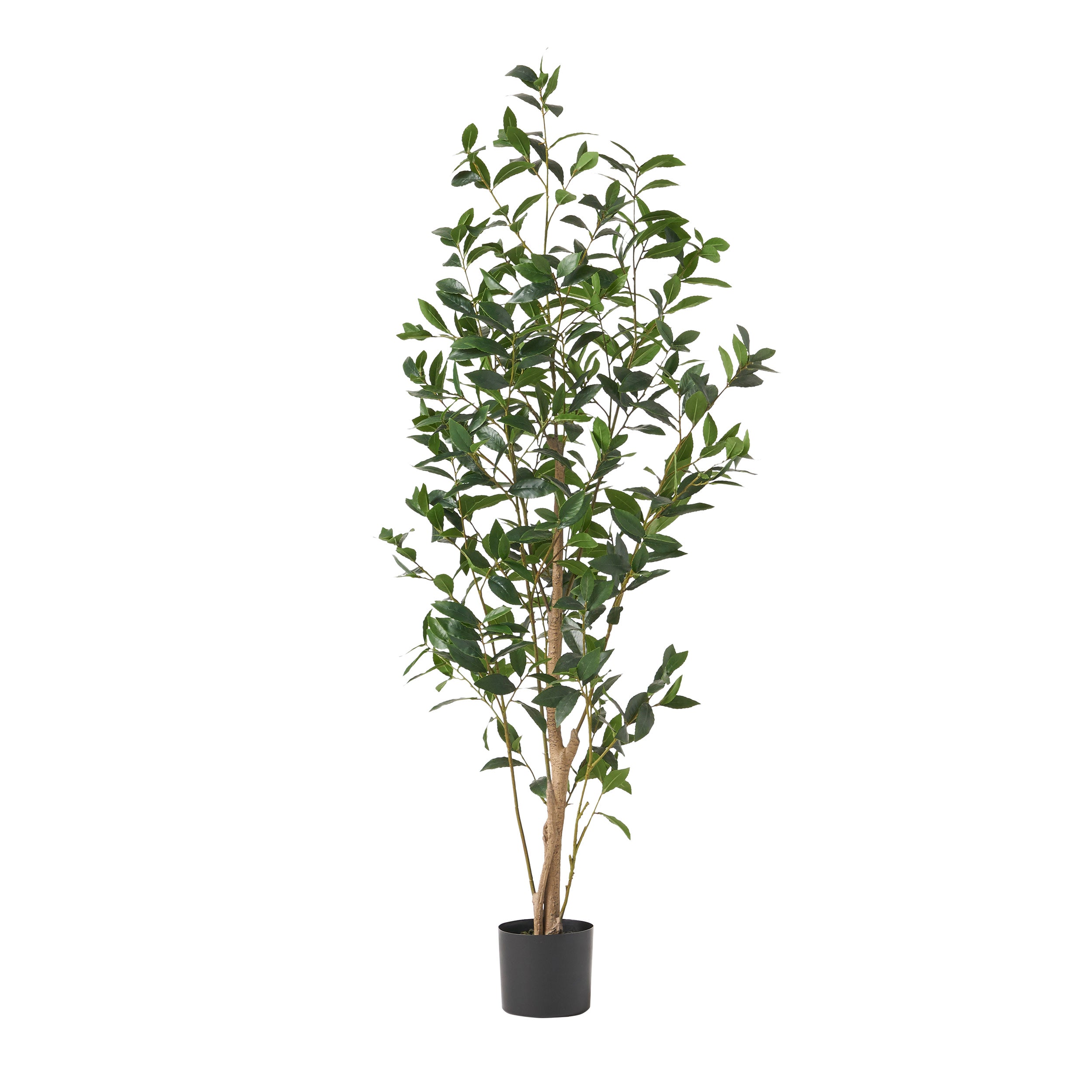 Forgan Artificial Laurel Tree