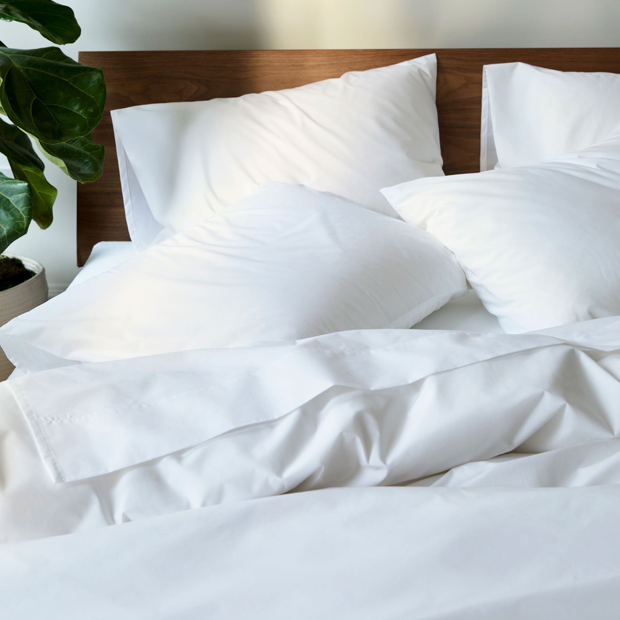 Classic Percale Flat Sheet