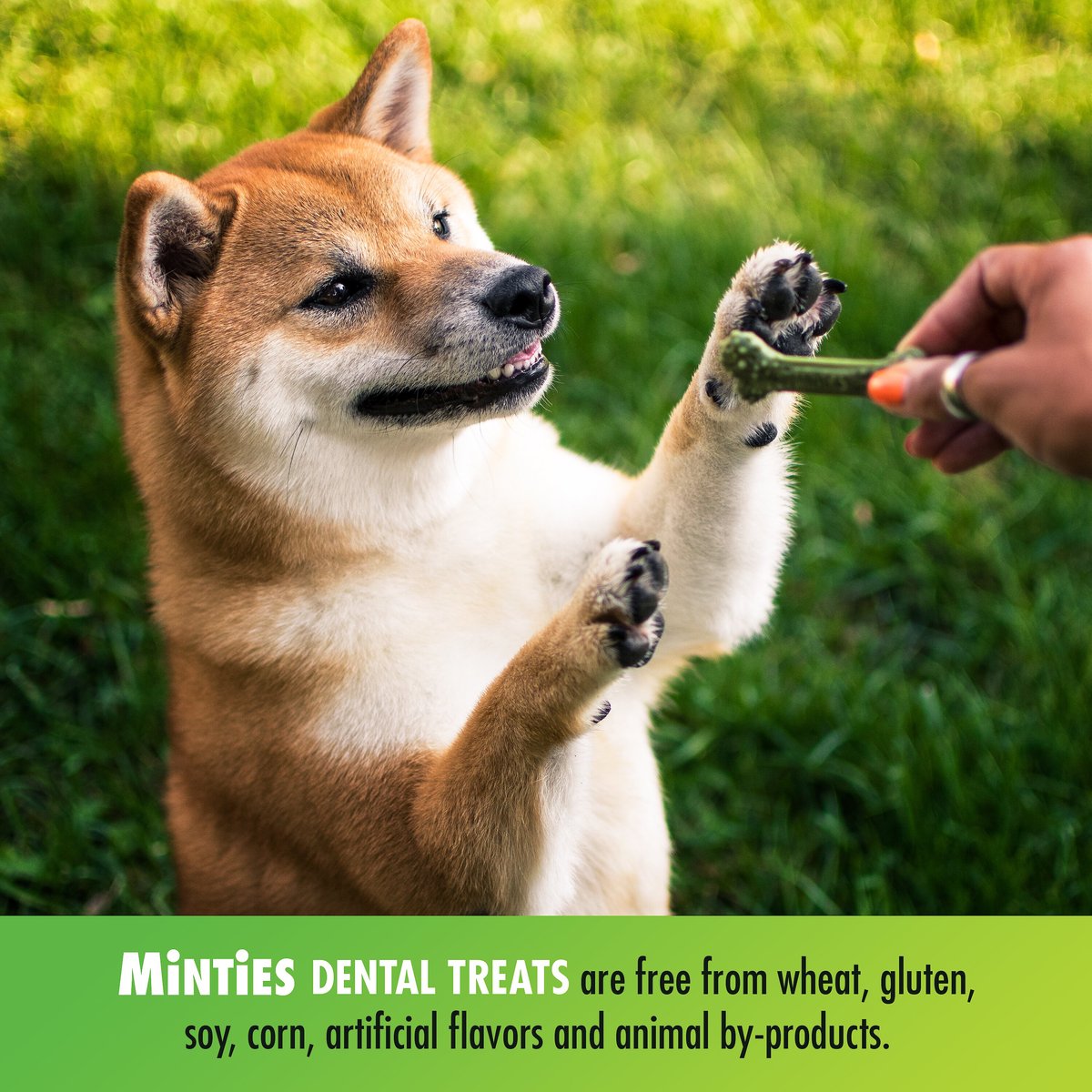 VetIQ Minties Tiny/Small Dental Dog Treats