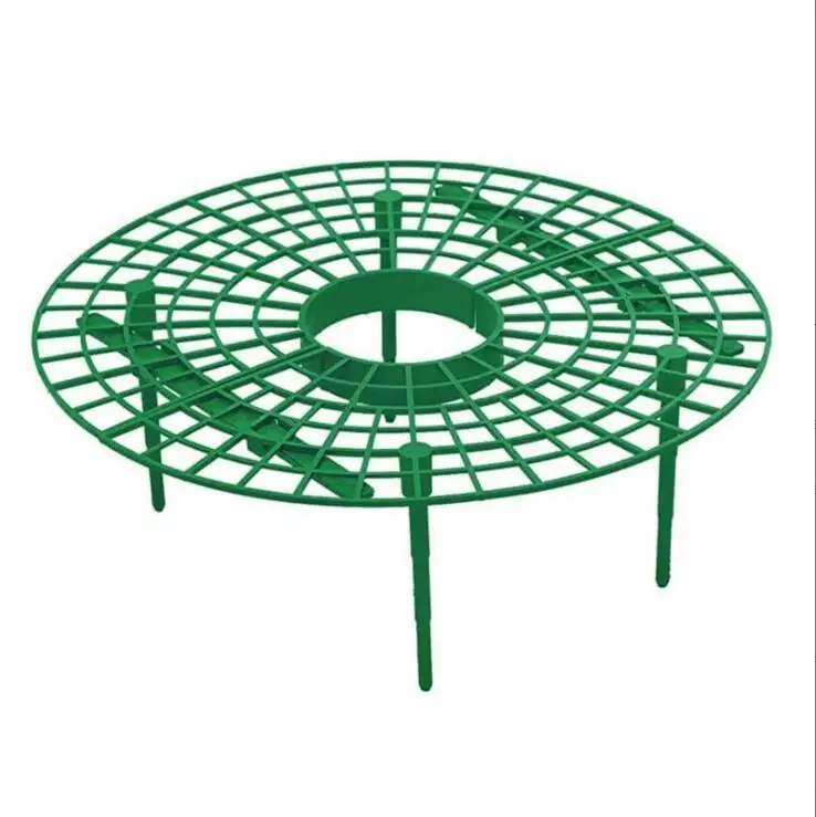 Strawberry Growing Rack Plastic Strawberry Support  Fruit Strawberry Stand Plant Climbing