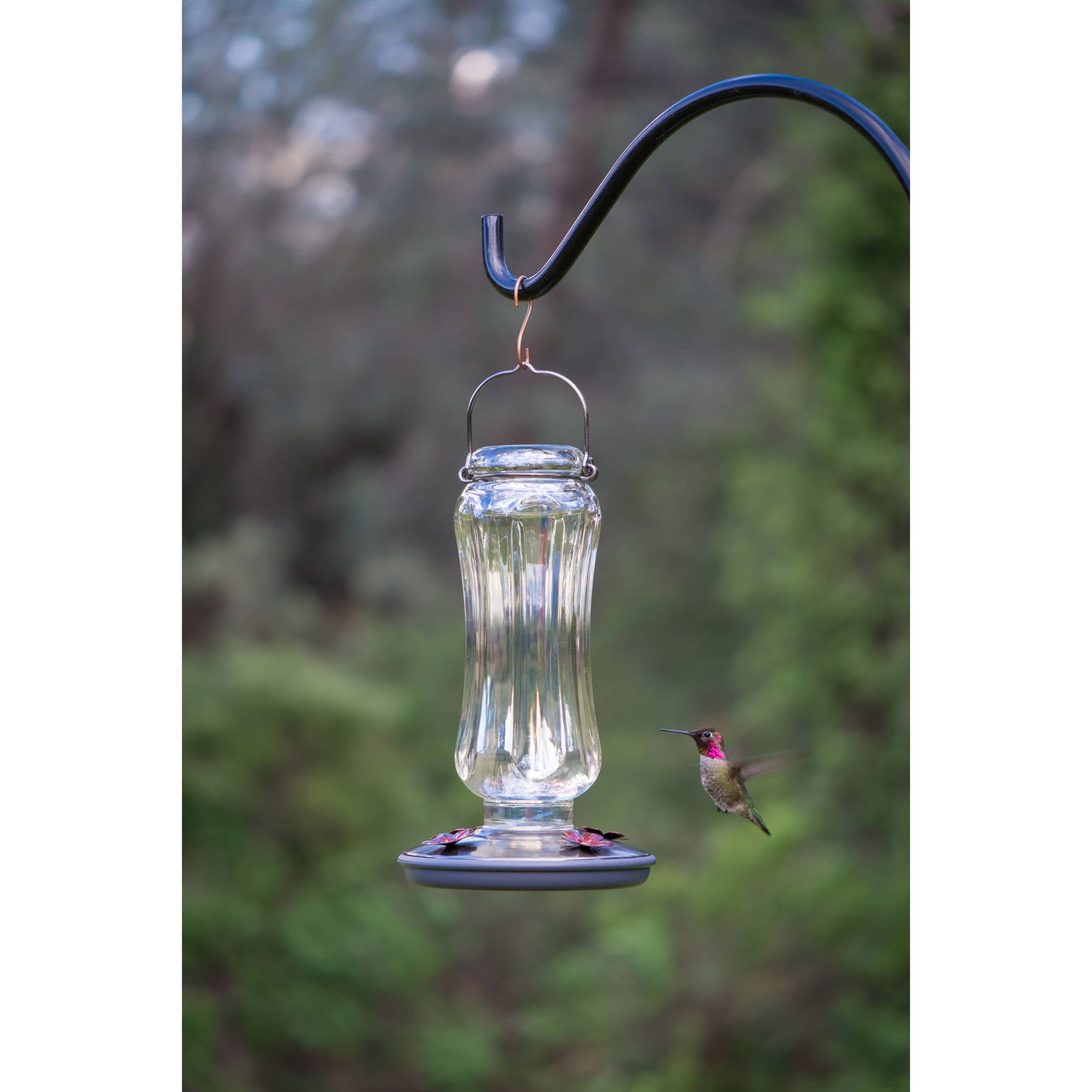 Perky-Pet Clear Starglow Vintage Glass Hummingbird Feeder - 16 oz