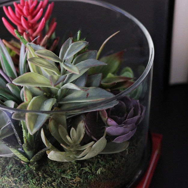 Mixed Succulent Artificial Arrangement In Round Glass Jar - Green/pink