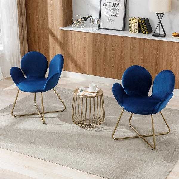 Modern Velvet Accent Chair with Metal Legs (Set of 2)