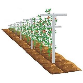 Mr. Garden 7 ft. Raspberry Trellis with Adjustable Arms Raspberry Stake Vineyard Trellis (4-Pack) FRT172W4P